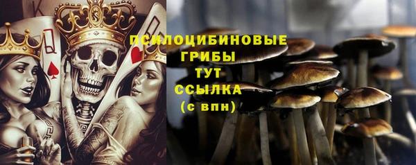 spice Алзамай