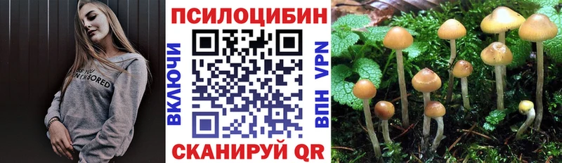 где можно купить Учалы Галлюциногенные грибы Cubensis